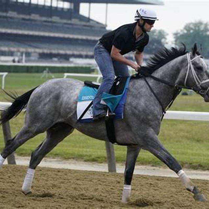 What horse just won the Belmont?