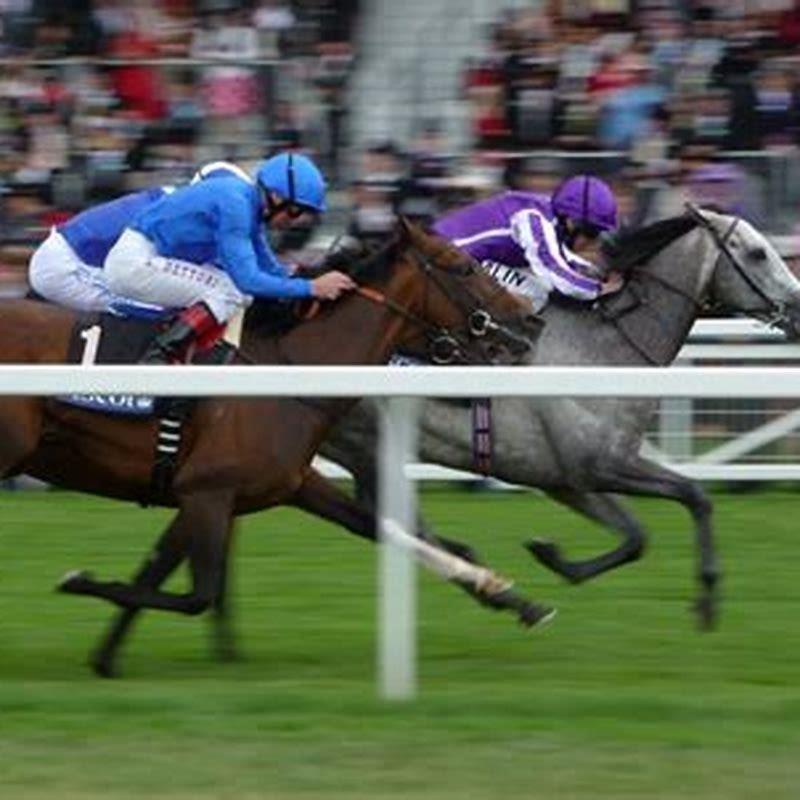 What horse racing is on today in England?