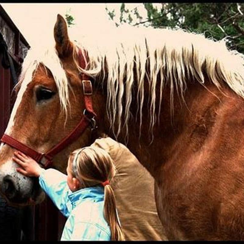 What is it called when horses prance?