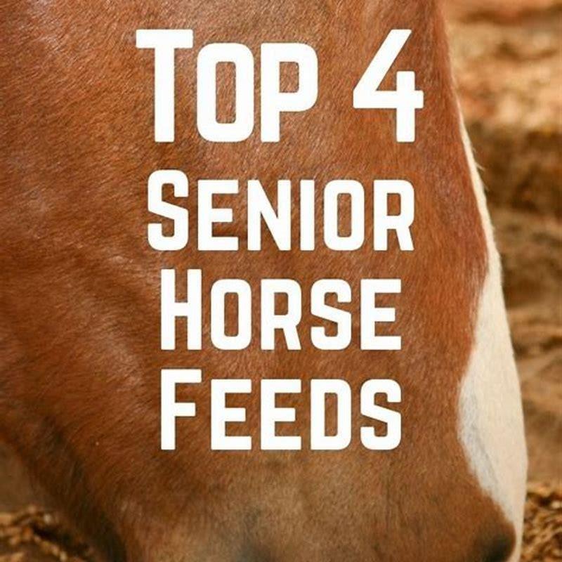 What is the best feed to feed a horse?
