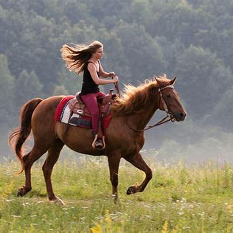 What is the best horse for horseback riding?