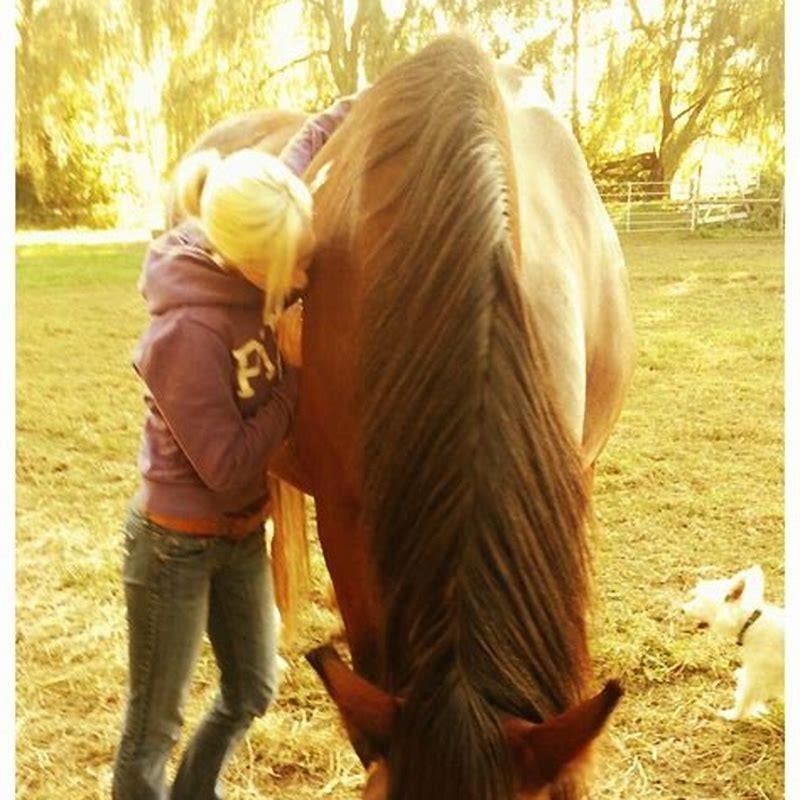 What is the best kind of pony?