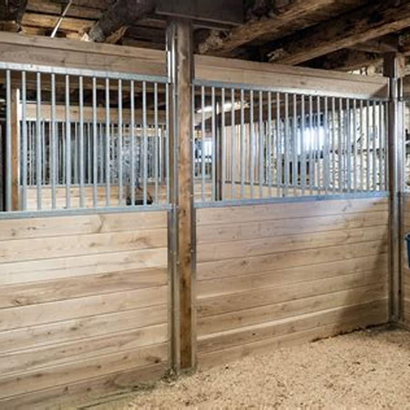 What Is The Best Size For A Horse Stall DIY Seattle