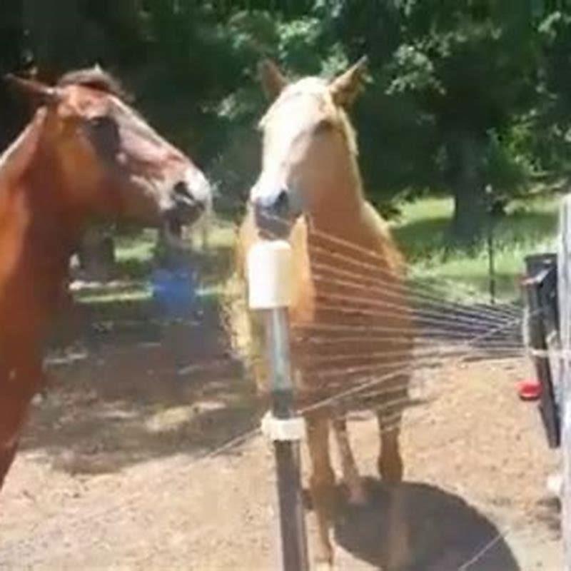 What is the best way to tie up a horse?