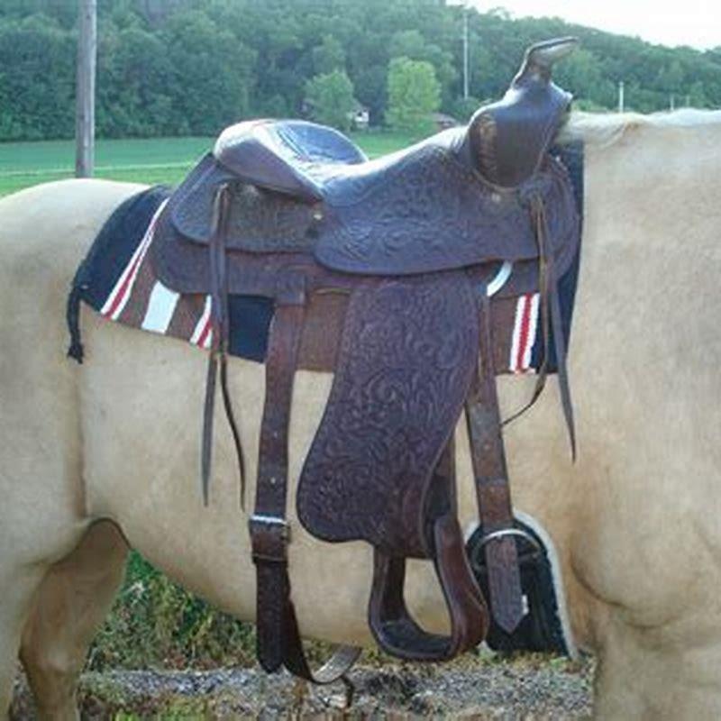What is the blanket under a horses saddle called?
