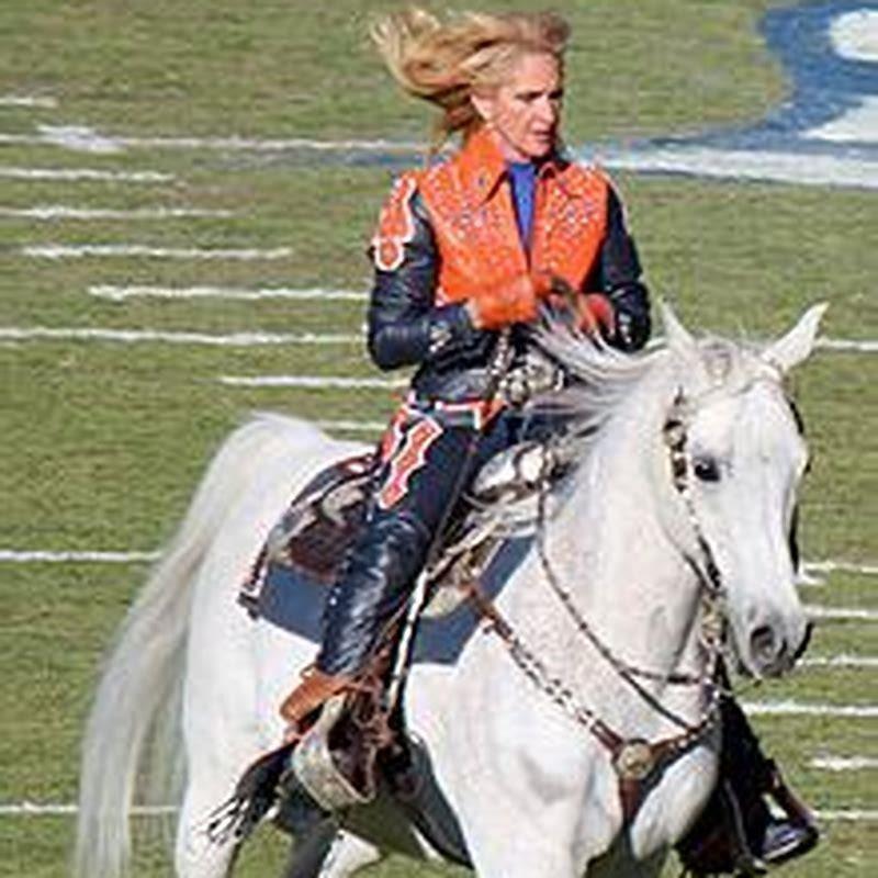 What is the Broncos horse name?