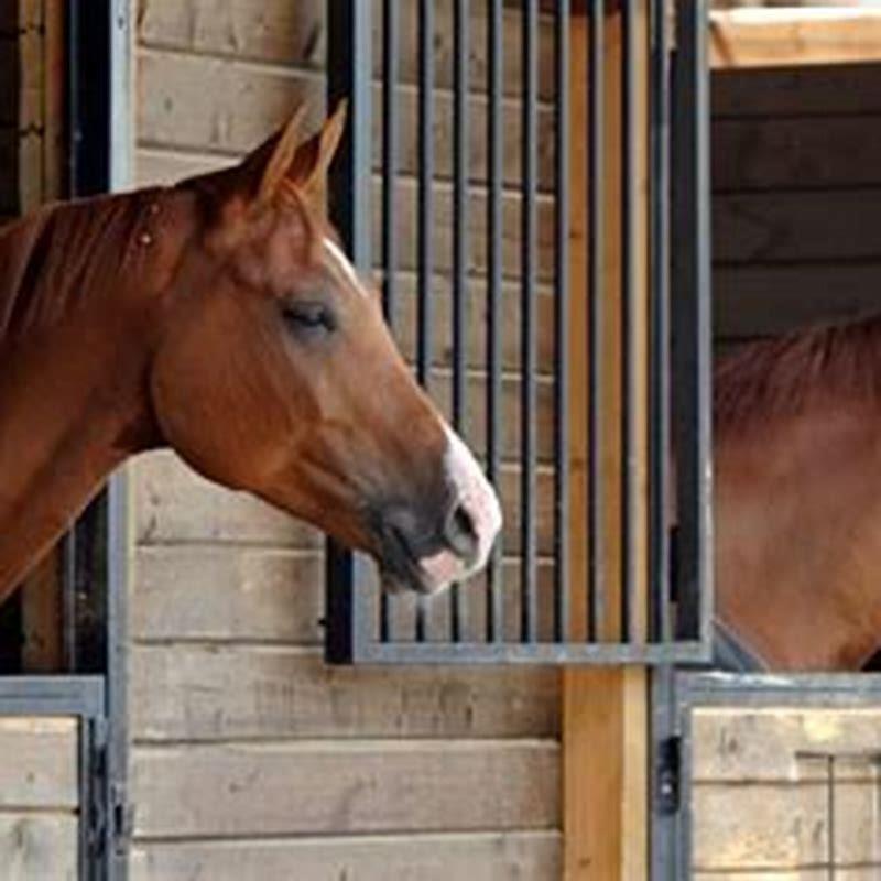 What is the difference between a horse stall and a stable?