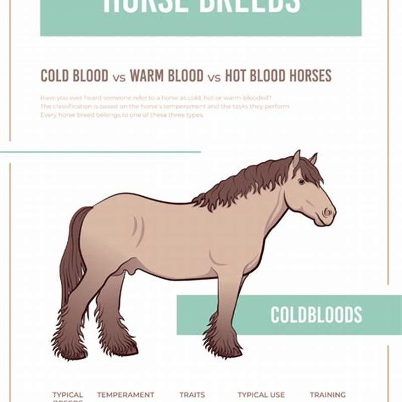 What is the difference between a work horse and a draft horse?