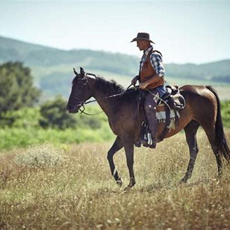 What is the difference between English horse riding and Western?