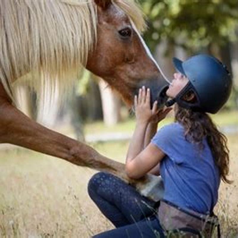 What is the easiest trick to teach a horse?