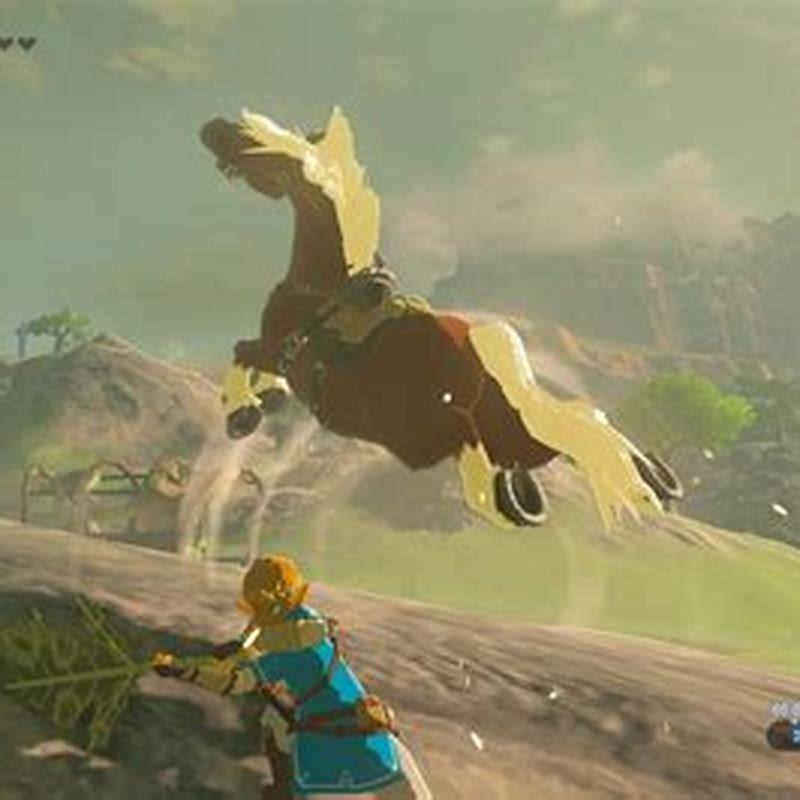 What Is The Fastest Way To Tame A Horse In Botw DIY Seattle