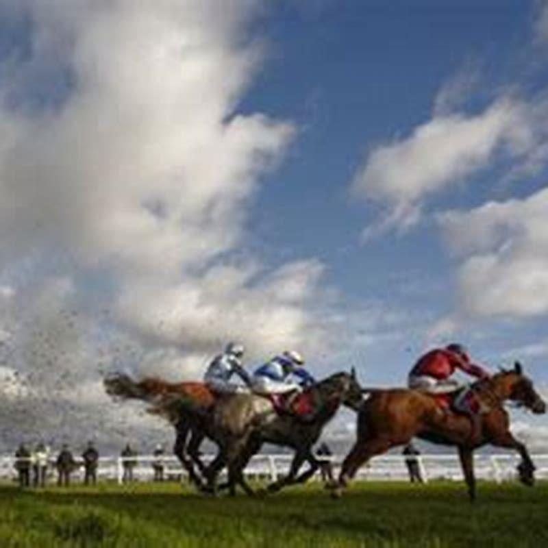 What Is The Most Profitable Way To Bet On Horse Racing? - DIY Seattle