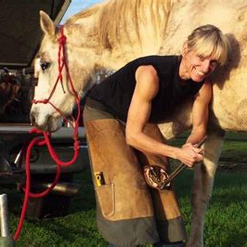 What is the point in shoeing a horse? - DIY Seattle