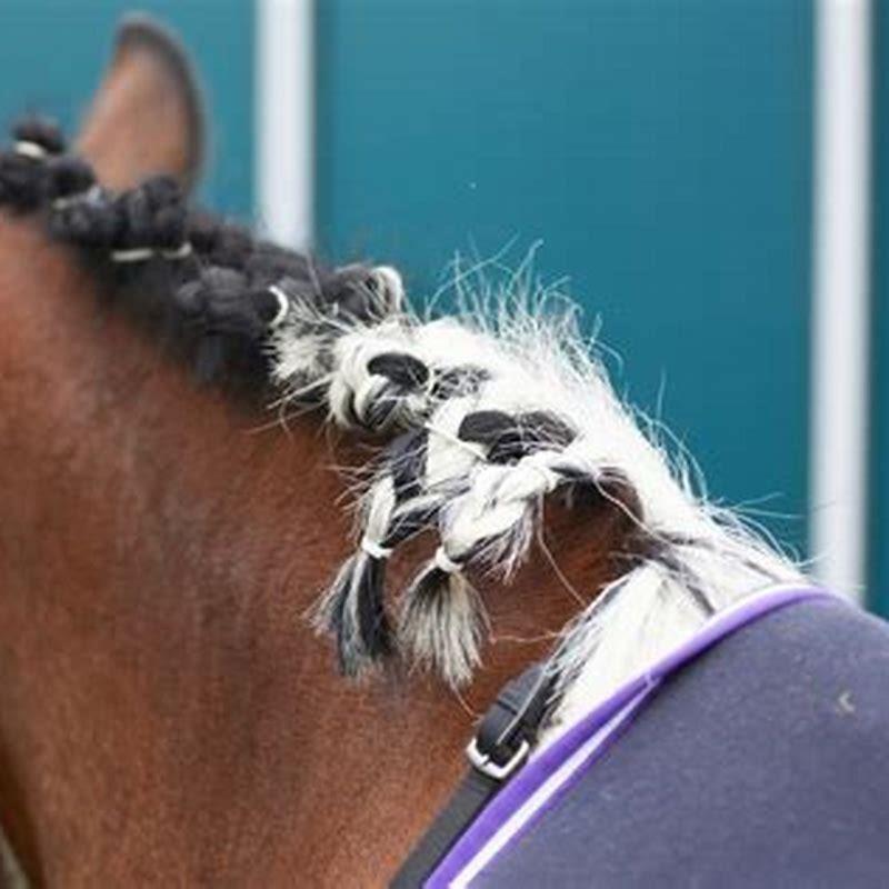 What is the purpose of a horses mane?