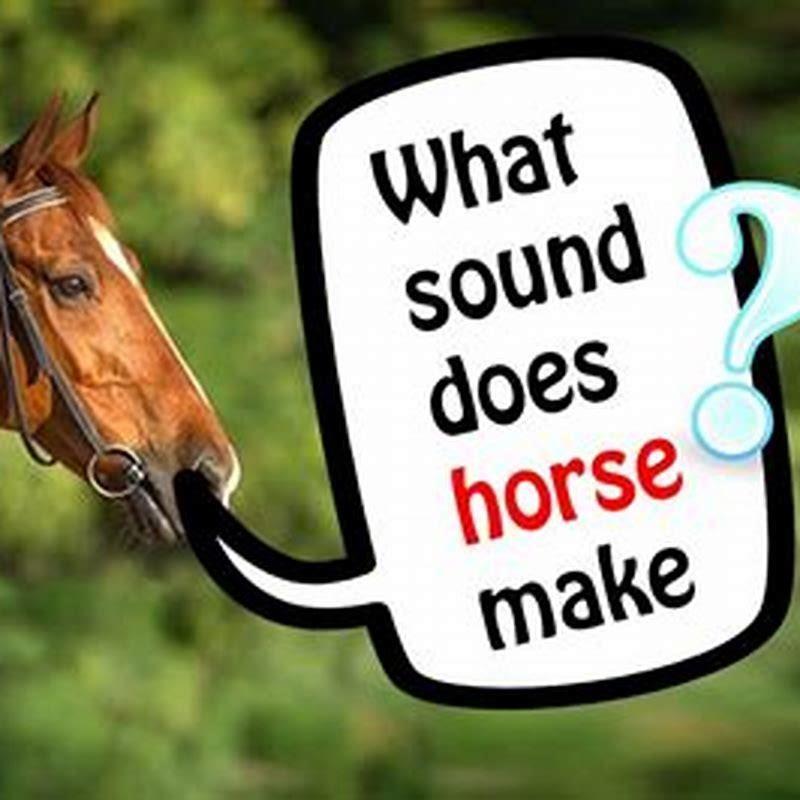 What is the sound of horse horse? DIY Seattle