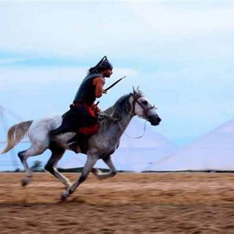 What kind of horses do they have in Afghanistan?