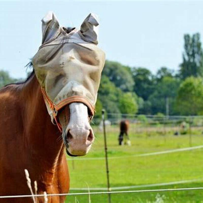 What months are horse flies active UK?