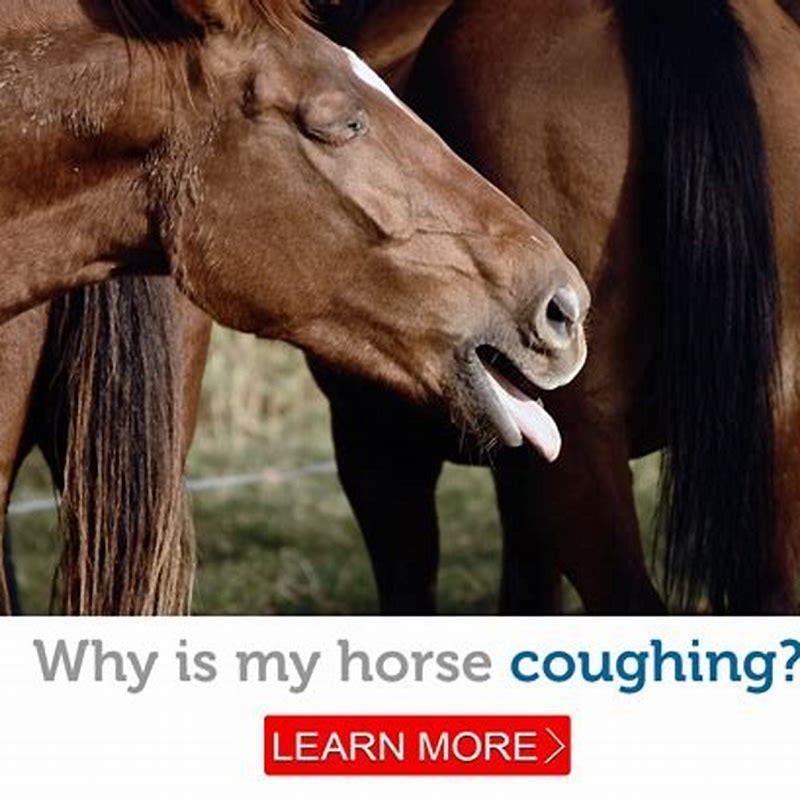What should I do if my horse is coughing?