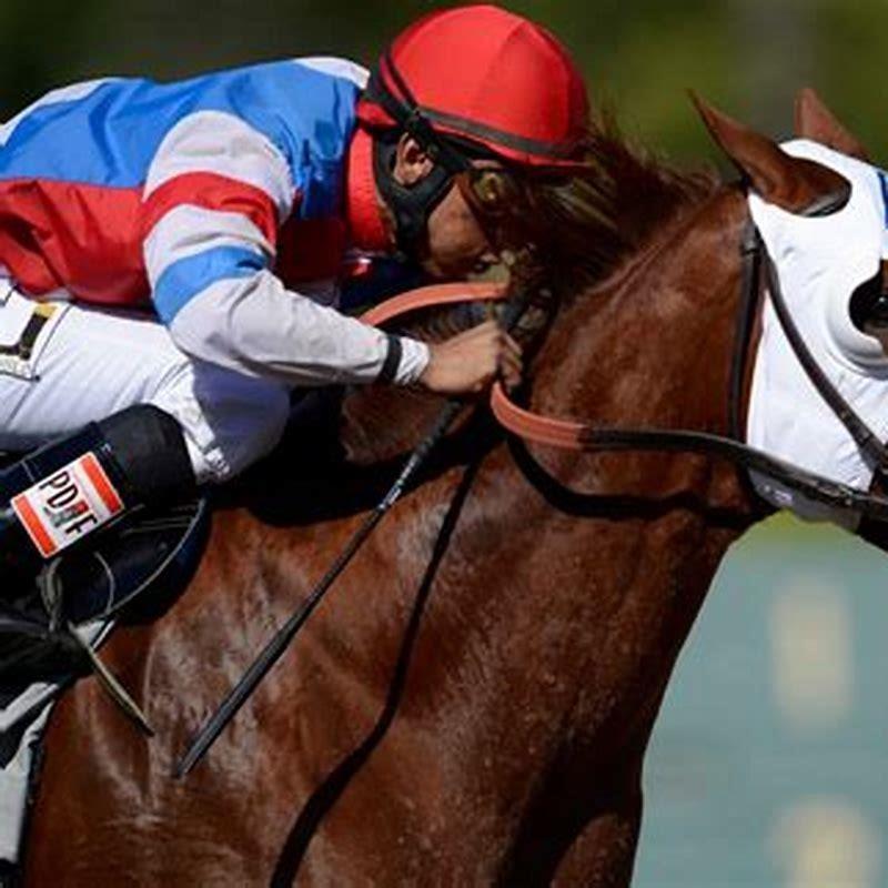 What should I wear to a horse race?