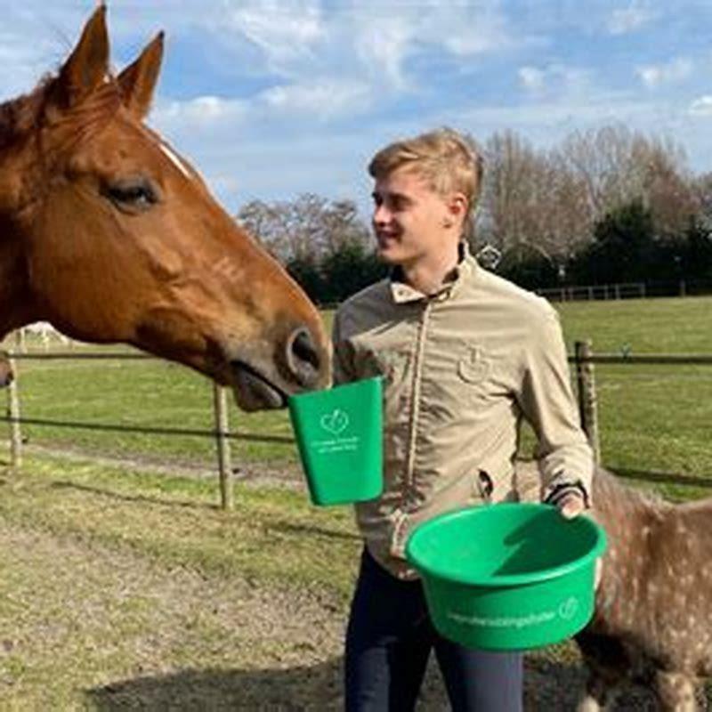 What should you not feed horses?