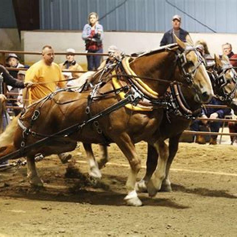 What were draft horses originally used for?
