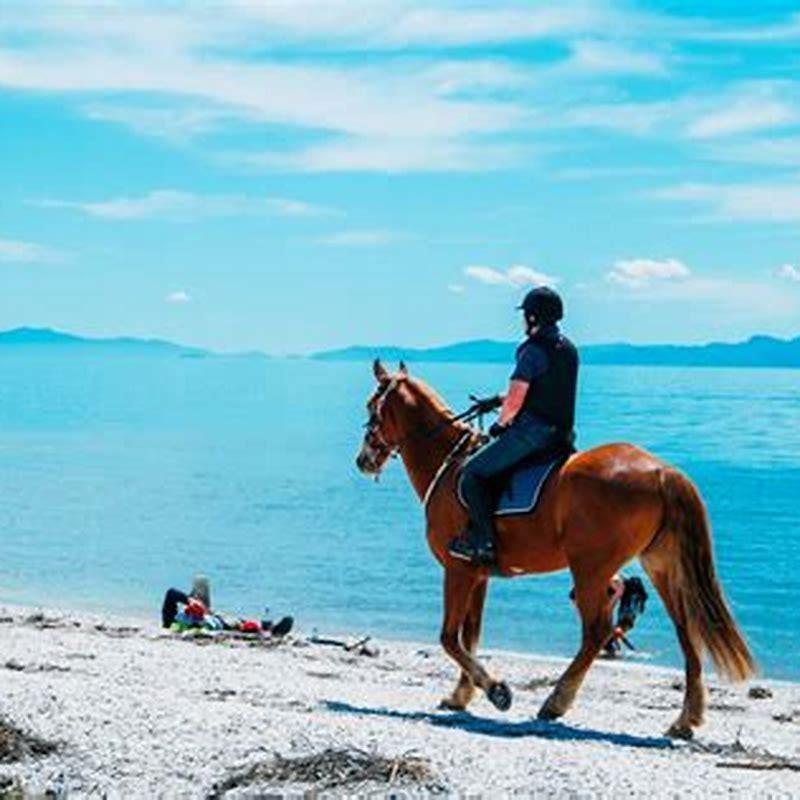 where-can-i-go-horseback-riding-in-the-us-diy-seattle