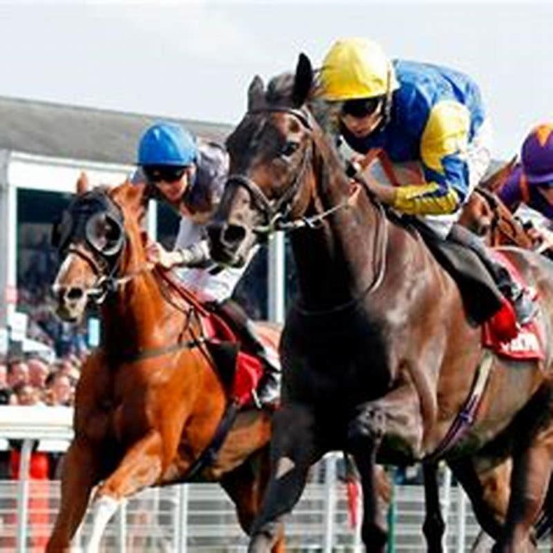 Where can I watch live horse racing?
