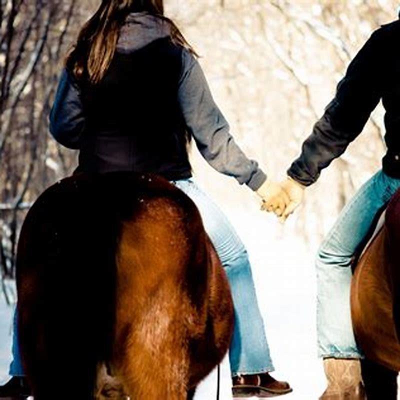 Where do you shoot a horse?