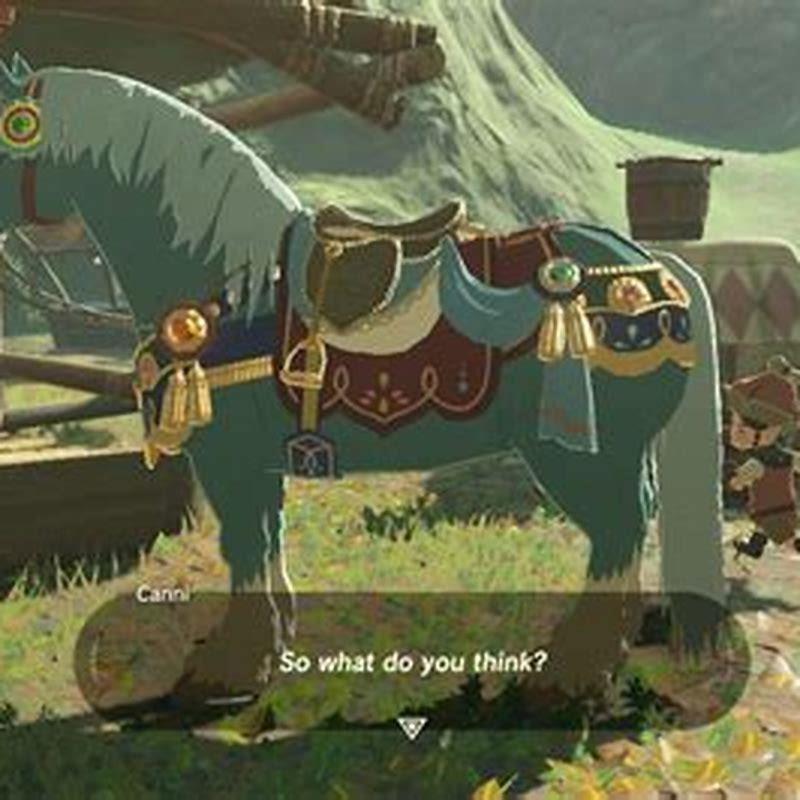 Where is the rarest horse in Botw?