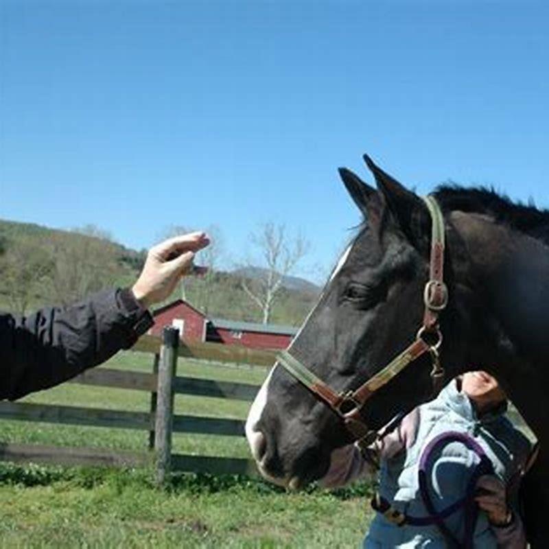 Which Country Eats Horses DIY Seattle horse-steak