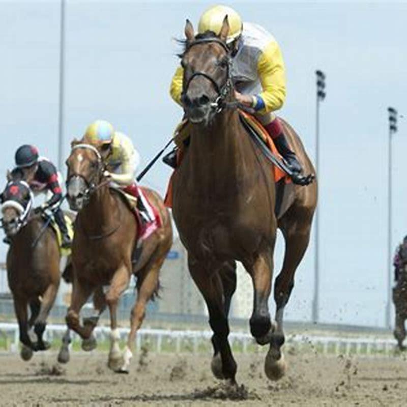 Which horse should I bet on in Kentucky Derby?