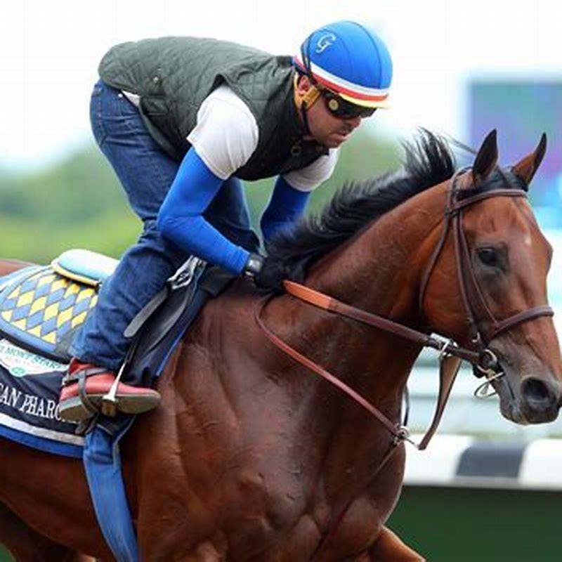 Which horses will win today?