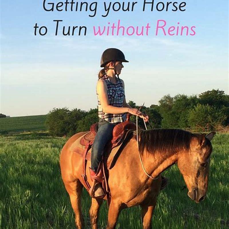 Which leg do you use to turn a horse?