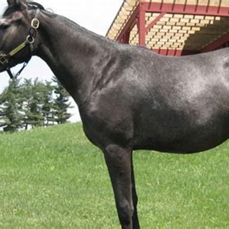 Which state has an official state horse?