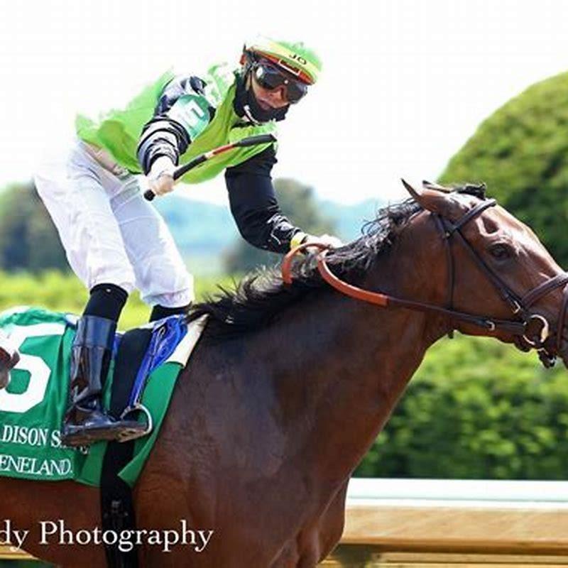 Who is favored to win the Kentucky Derby today? DIY Seattle