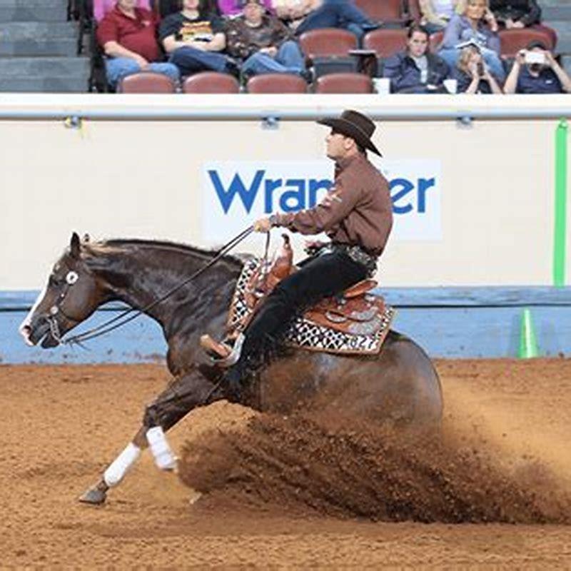 who-is-the-cutting-horse-trainer-in-yellowstone-diy-seattle