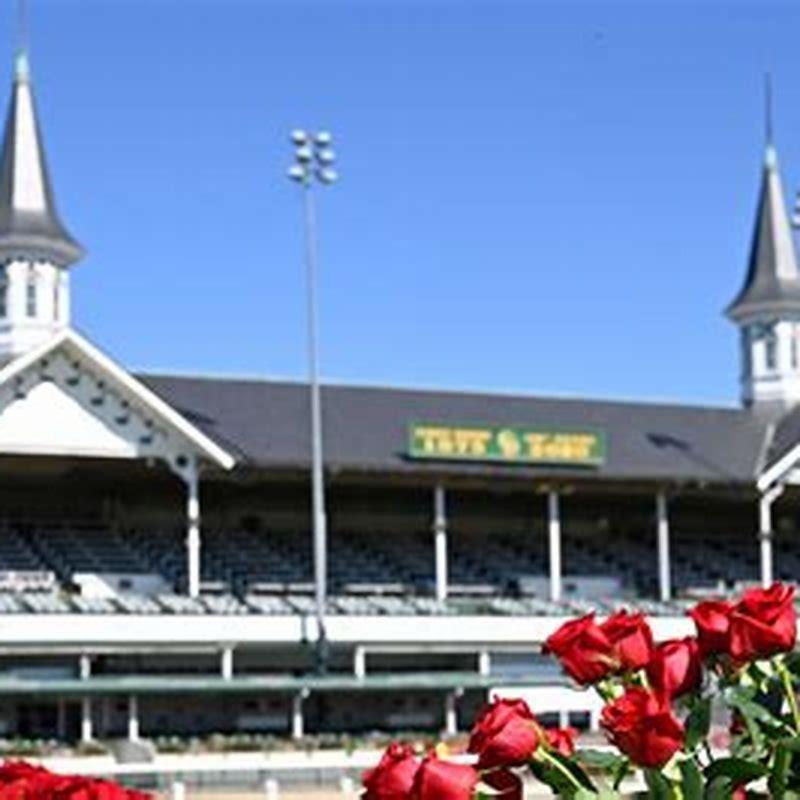 Who owns the Kentucky Derby horse soup and sandwich?