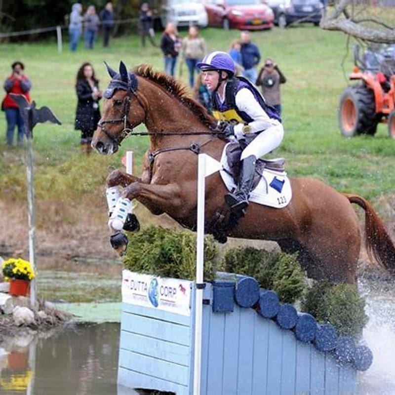 Why are thoroughbreds called thoroughbreds?