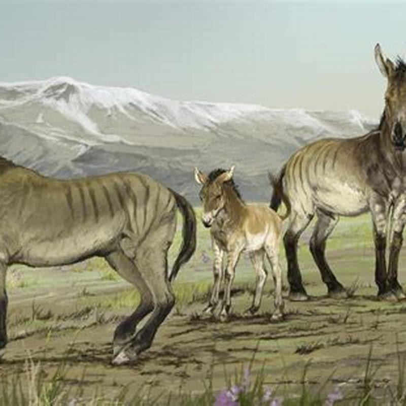 Why did Turkoman horses go extinct?