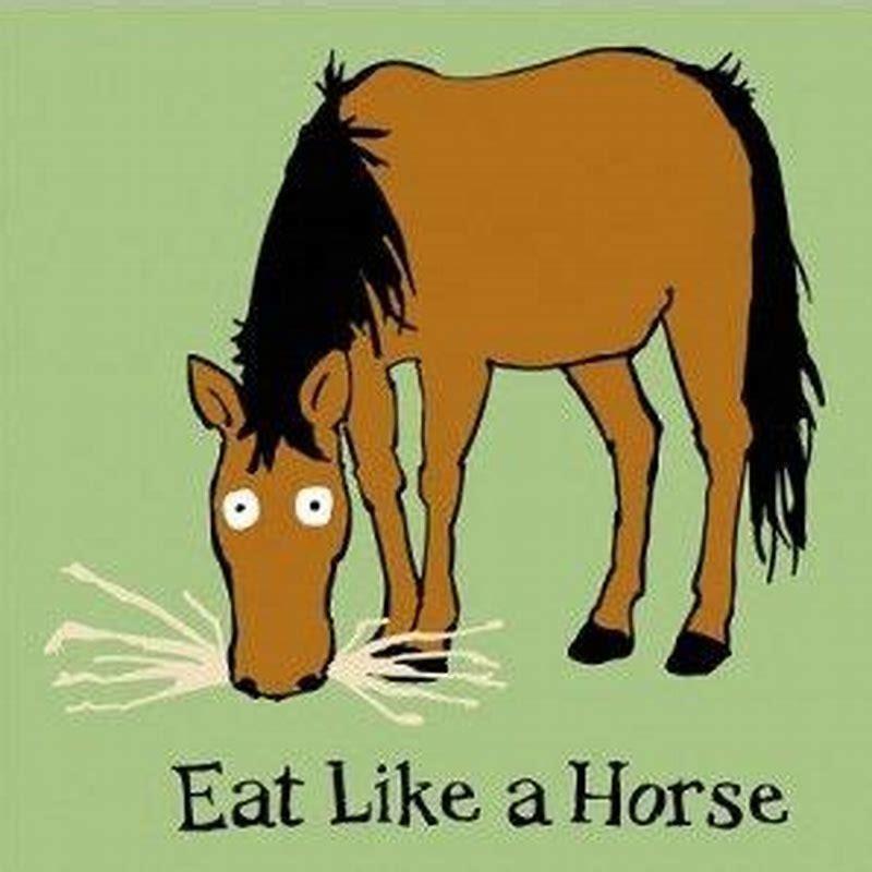 Why Do The English Not Eat Horse DIY Seattle