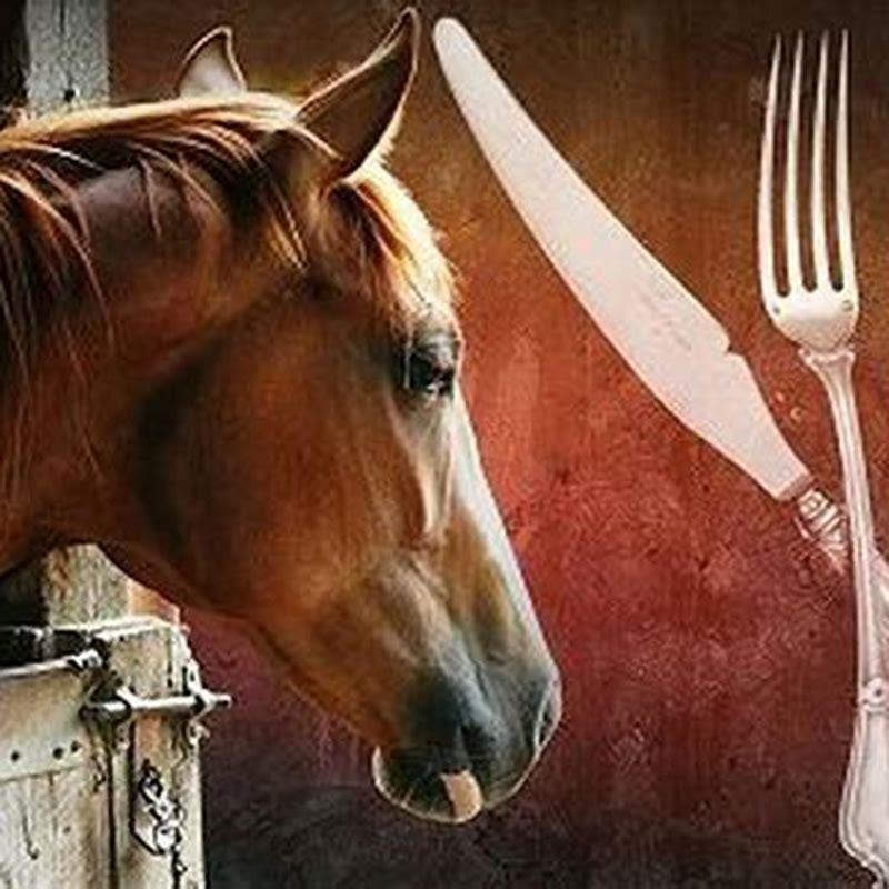 Why is horse meat illegal in the US? DIY Seattle