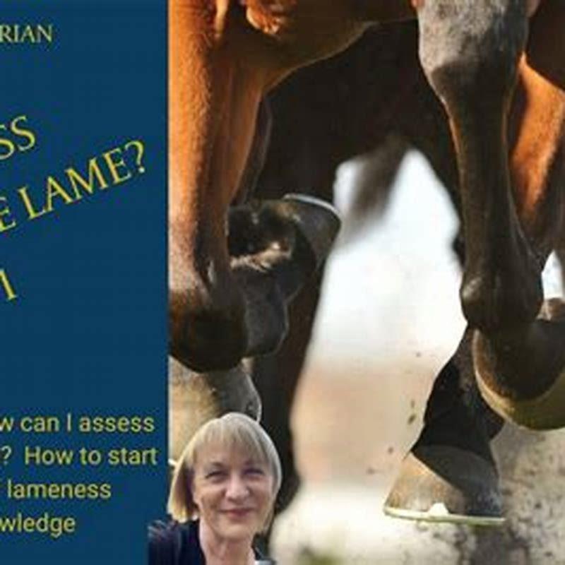 Why is my horse suddenly lame?