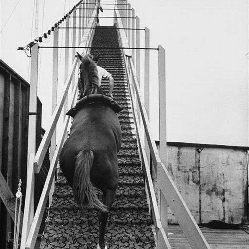 Why was horse diving a thing?