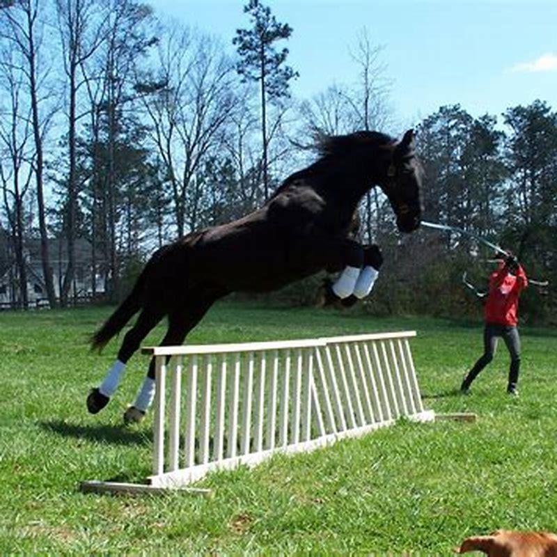 Can Friesians jump well?