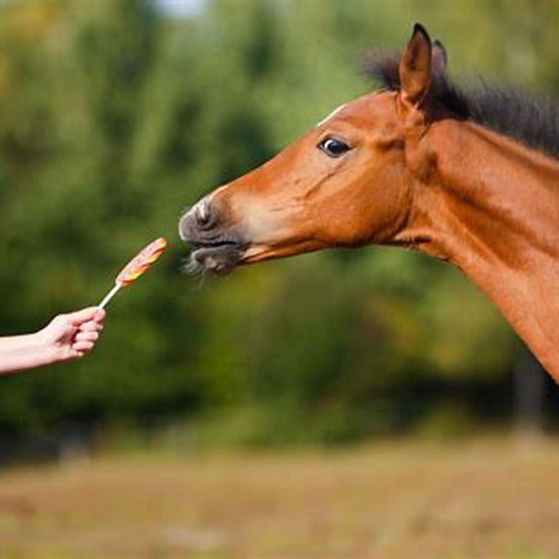 Can humans eat horse herb? - DIY Seattle