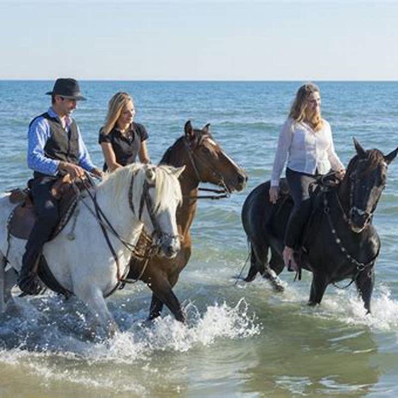 Do all horses know how do you swim?