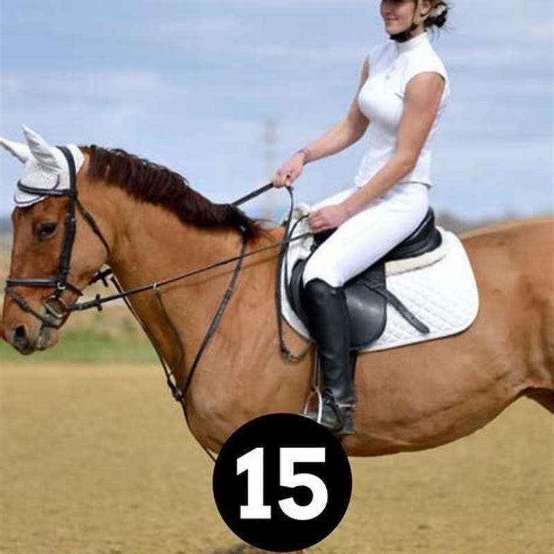 How do you get a horse to approach you?