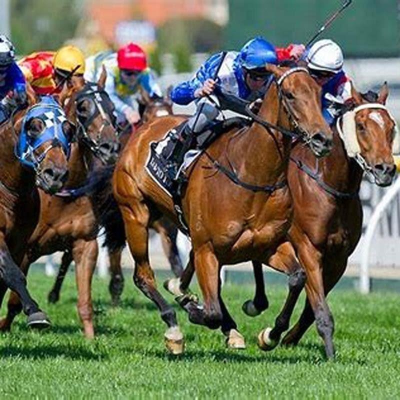 How do you handicap a racehorse?
