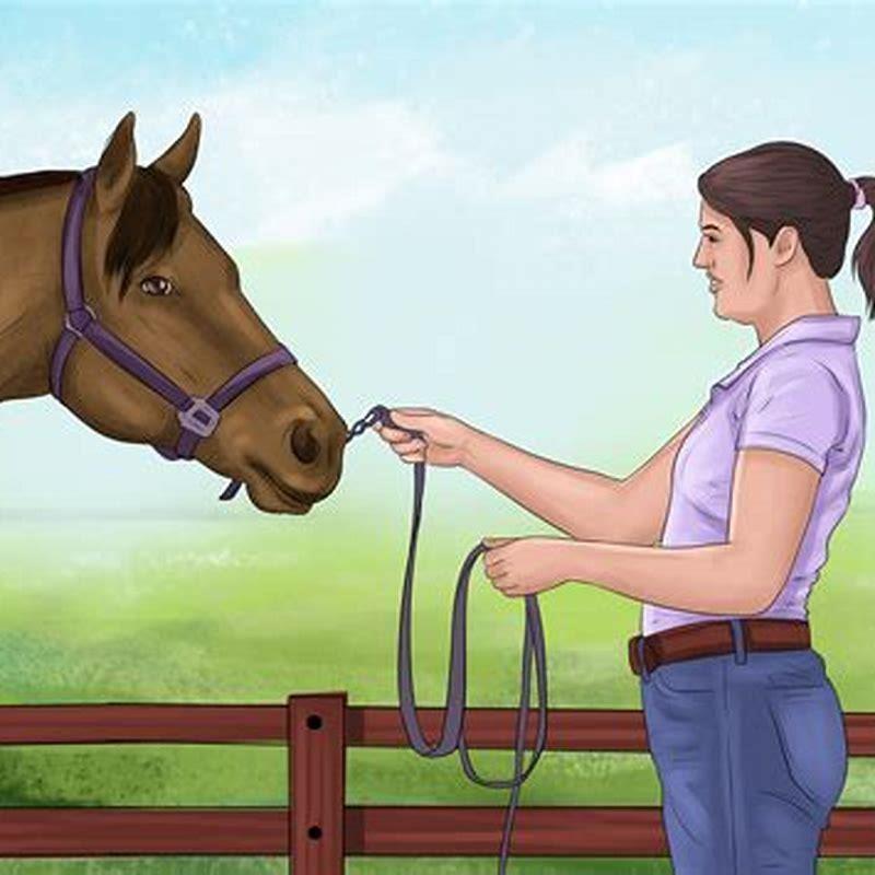 How do you train a horse to bow?
