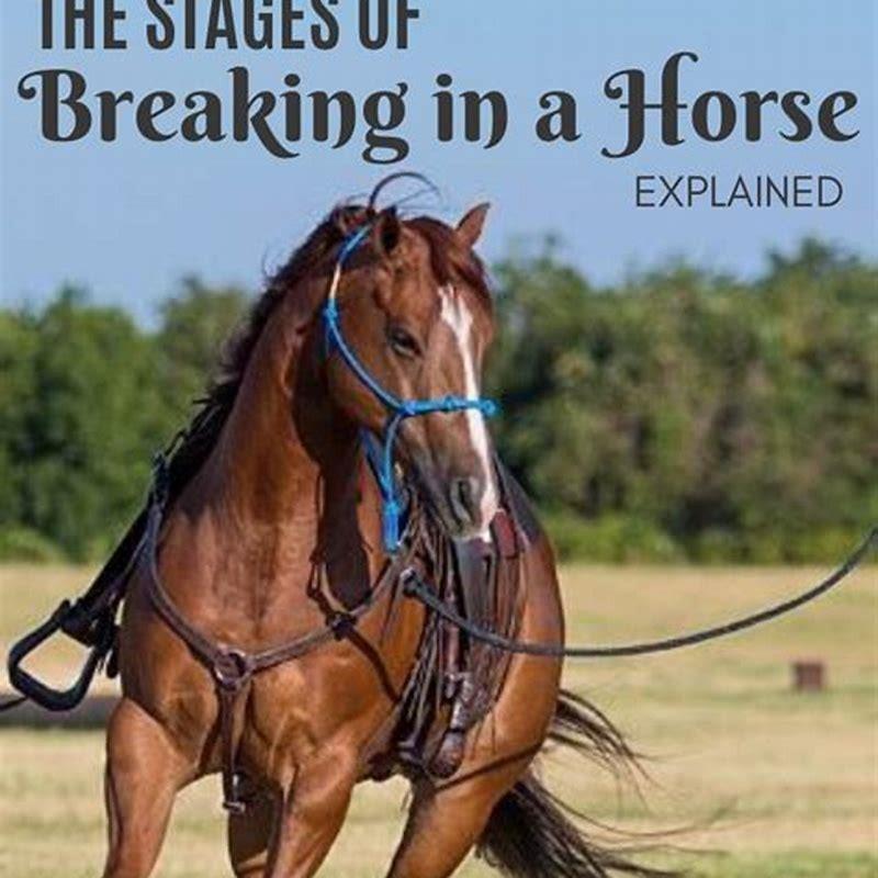 How long does it take to break in a horse?